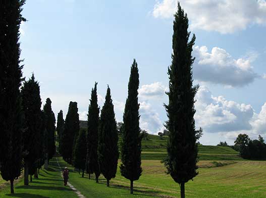 Inverigo