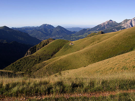Passeggiata Alpe Paglio - Pian delle Betulle
