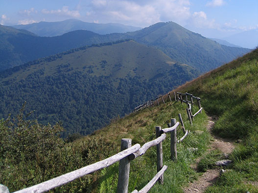 Escursione al Monte Bolettone - Gite in Lombardia