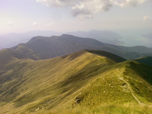monte_lema