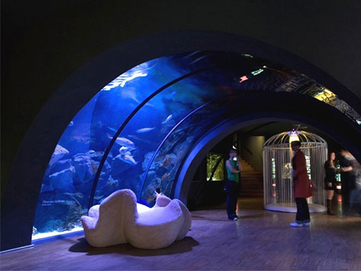 acquario-civico