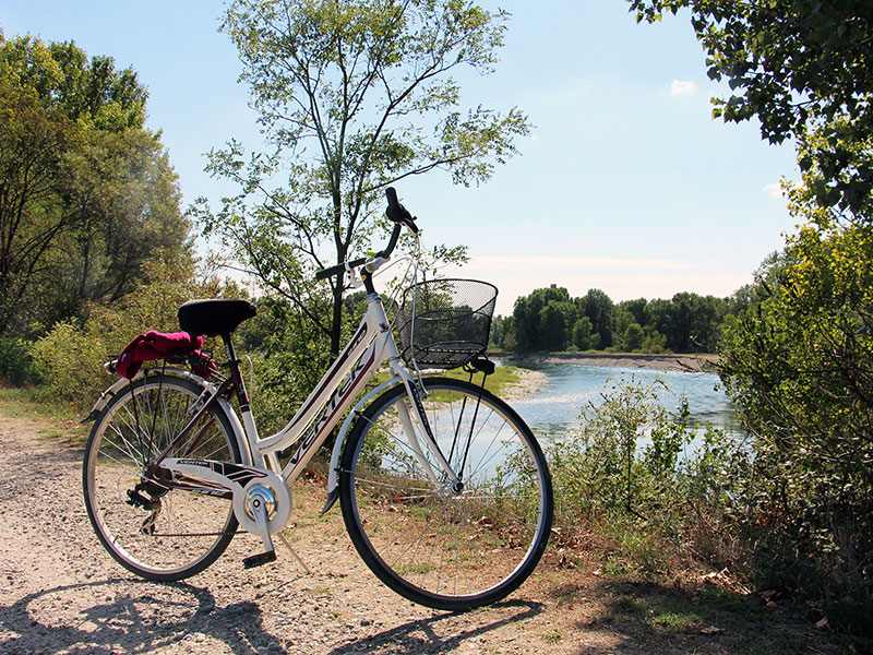 ciclabile_autunno