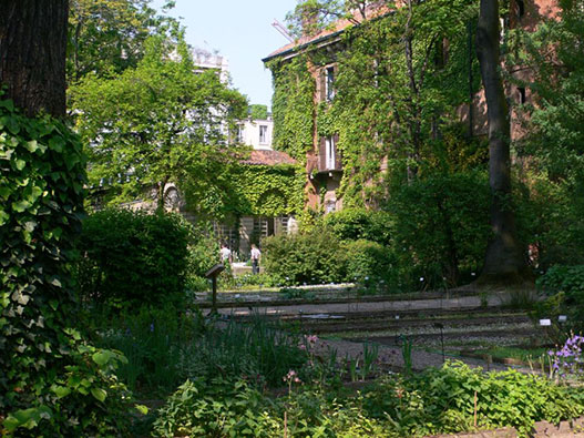 orto_botanico_brera