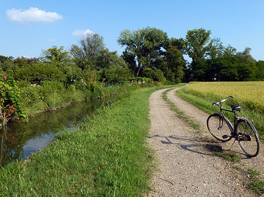 Via Francigena lombarda da Tromello a Pavia