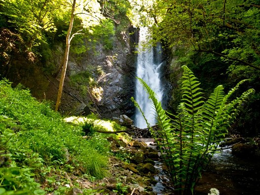 La Cascata del Pesegh ci attende per una bella escursione