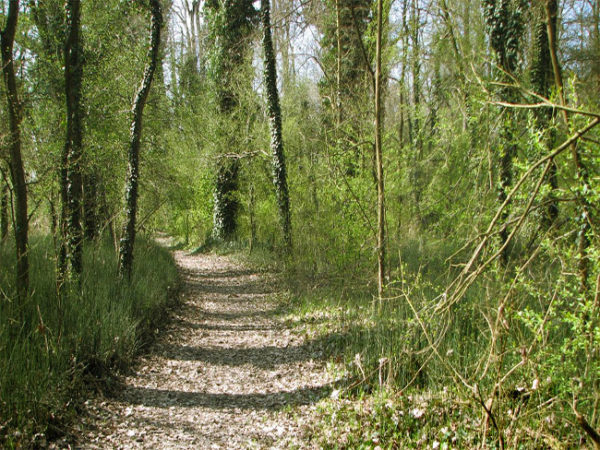 Oasi Lipu Bosco Negri