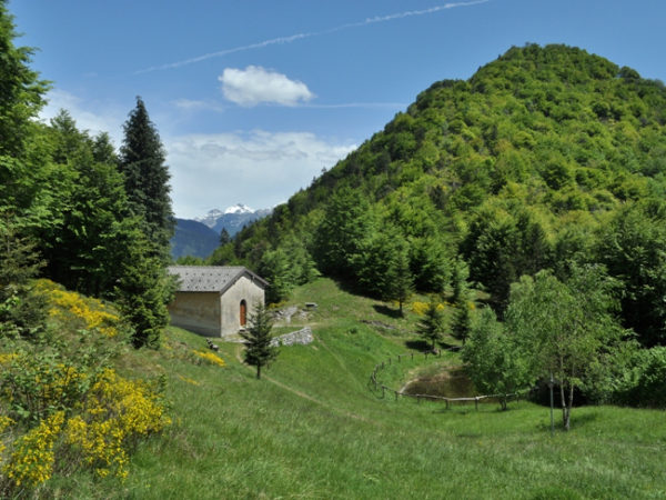 Passeggiata Anello Pizzo di Cusio