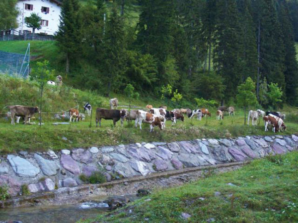 Trekking Casere Mezzoldo